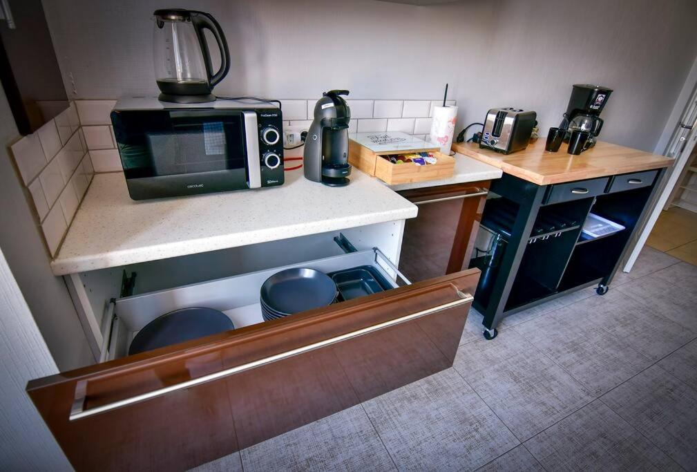 Grand Appartement De Haut Standing En Centre-Ville 蒙吕松 外观 照片