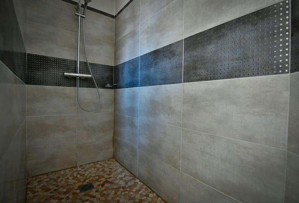 Grand Appartement De Haut Standing En Centre-Ville 蒙吕松 外观 照片