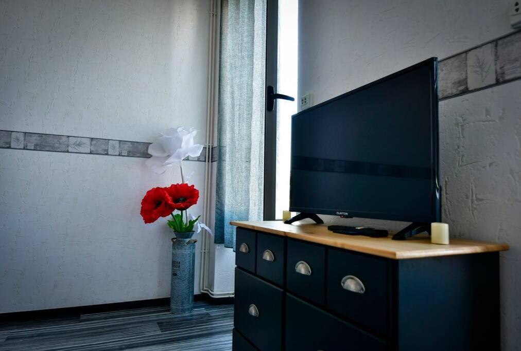 Grand Appartement De Haut Standing En Centre-Ville 蒙吕松 外观 照片