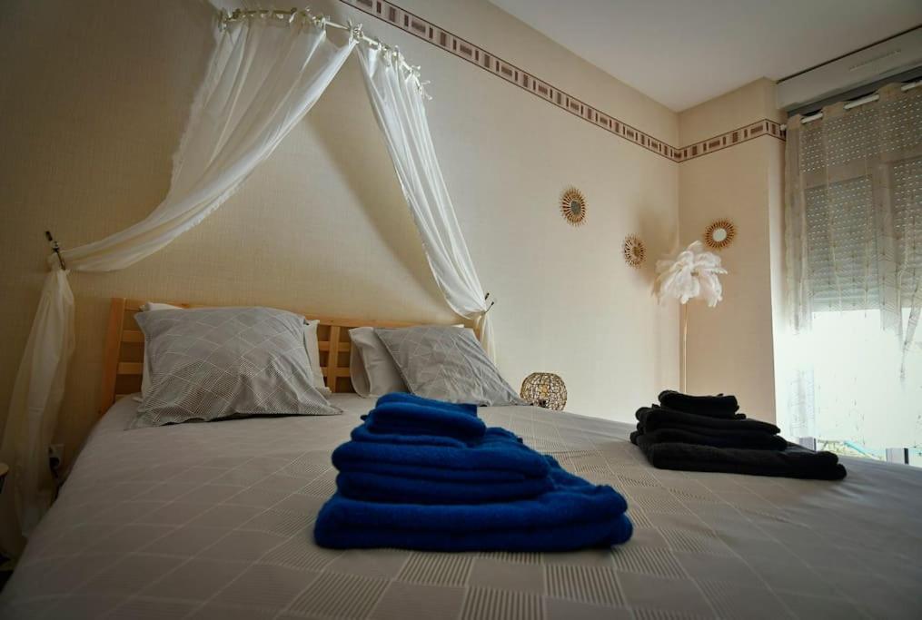Grand Appartement De Haut Standing En Centre-Ville 蒙吕松 外观 照片