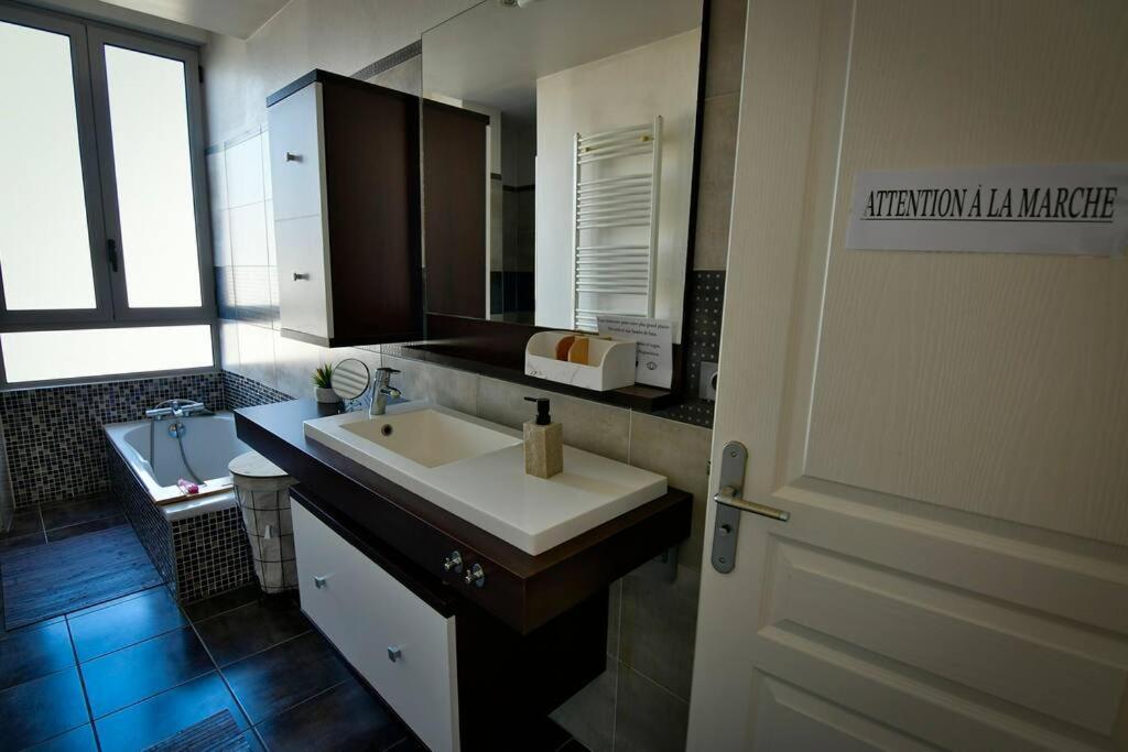 Grand Appartement De Haut Standing En Centre-Ville 蒙吕松 外观 照片
