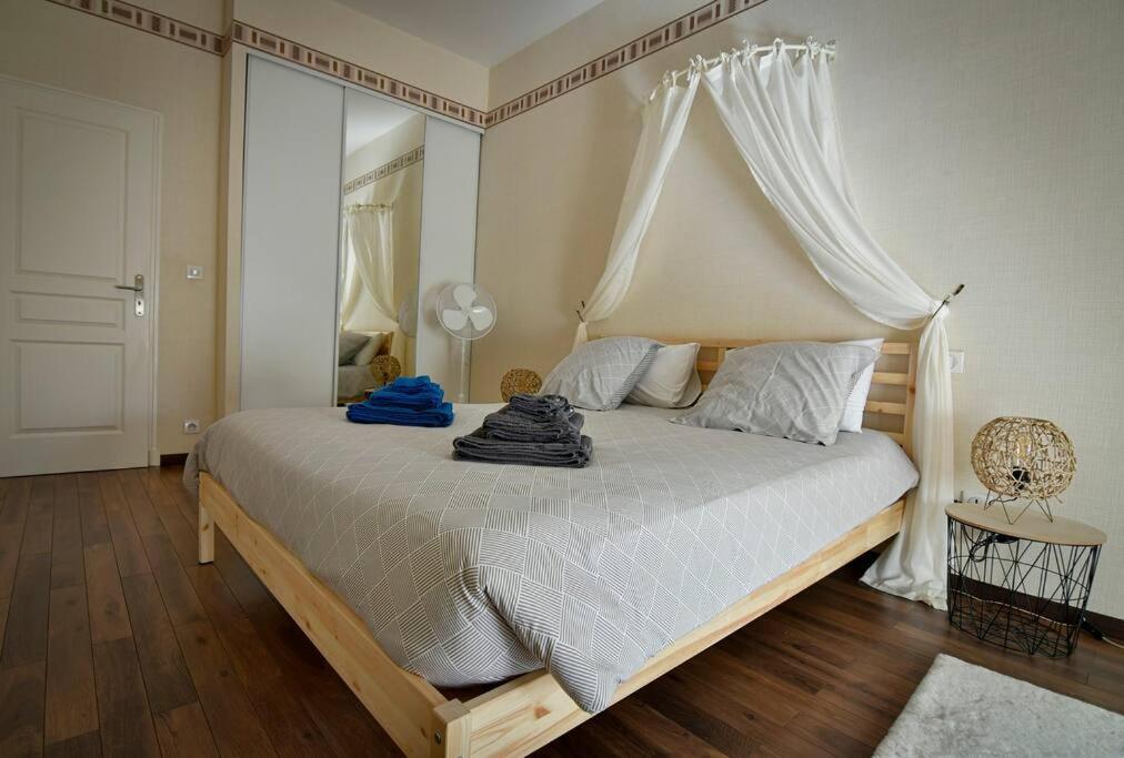 Grand Appartement De Haut Standing En Centre-Ville 蒙吕松 外观 照片