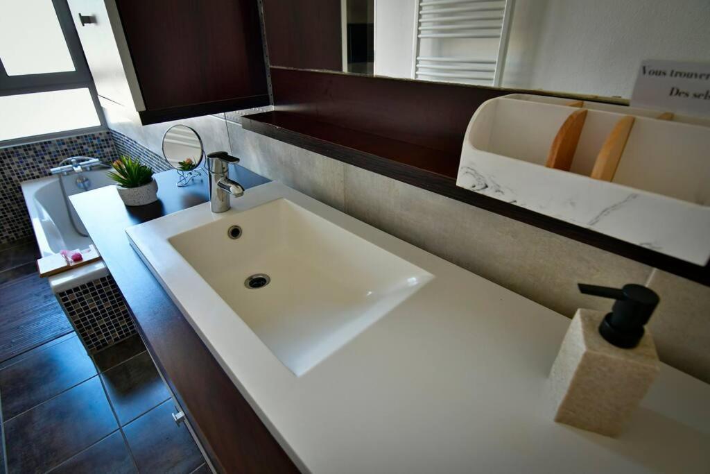 Grand Appartement De Haut Standing En Centre-Ville 蒙吕松 外观 照片